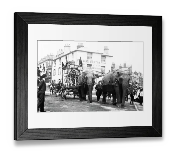Framed Print : Sanger's Circus parade, Bellevue, Southampton Framed Print : Sanger's Circus parade, Bellevue, Southampton