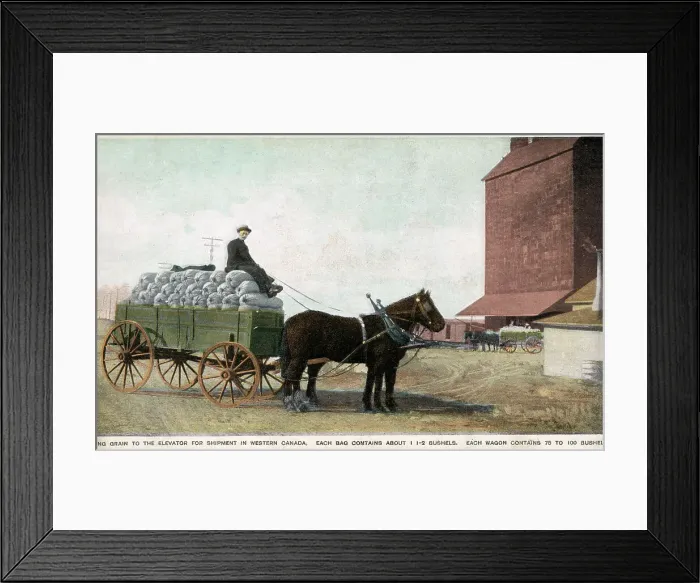 Framed Print : Bringing grain to the Elevator for shipment, Western Canada