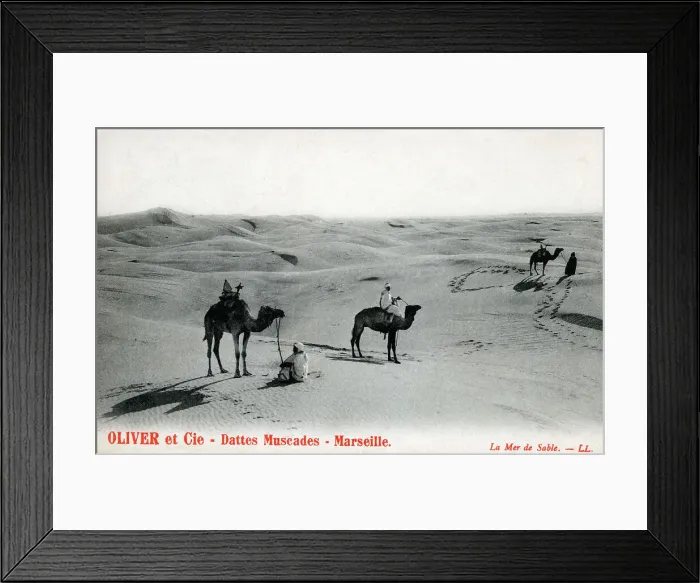 Framed Print : Saharan Bedouins - North Africa Framed Print : Saharan Bedouins - North Africa