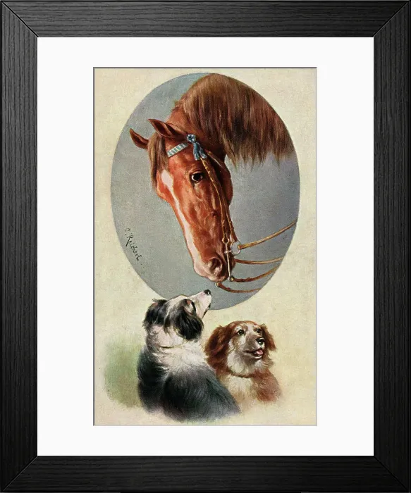 Framed Print : A horse and two working dogs - Austria Framed Print : A horse and two working dogs - Austria