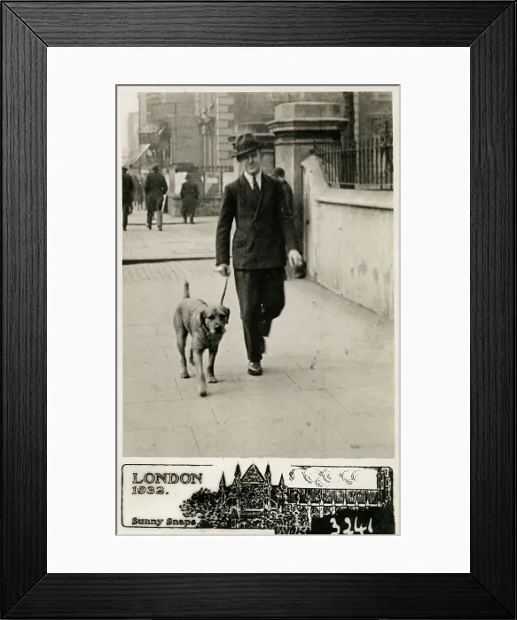 Framed Print : Smart Londoner taking his Labrador out for a brisk walk Framed Print : Smart Londoner taking his Labrador out for a brisk walk