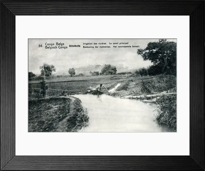Framed Print : Kitobola - Belgian Congo - irrigation canals - rice paddies Framed Print : Kitobola - Belgian Congo - irrigation canals - rice paddies