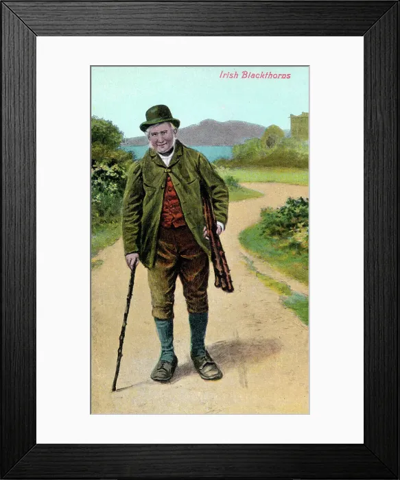 Framed Print : Irish Blackthorns Framed Print : Irish Blackthorns