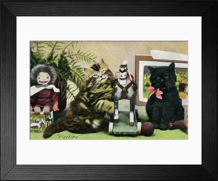 Framed Print : Two Kitten with toys contemplating Playtime Framed Print : Two Kitten with toys contemplating Playtime