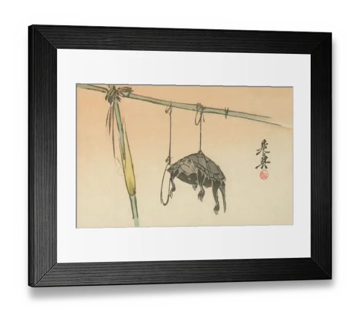Framed Print : Hanging Turtle by Shibata Zeshin - Japanese woodblock print Framed Print : Hanging Turtle by Shibata Zeshin - Japanese woodblock print