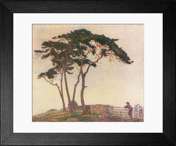 Framed Print : The Mushroom Gatherer Framed Print : The Mushroom Gatherer