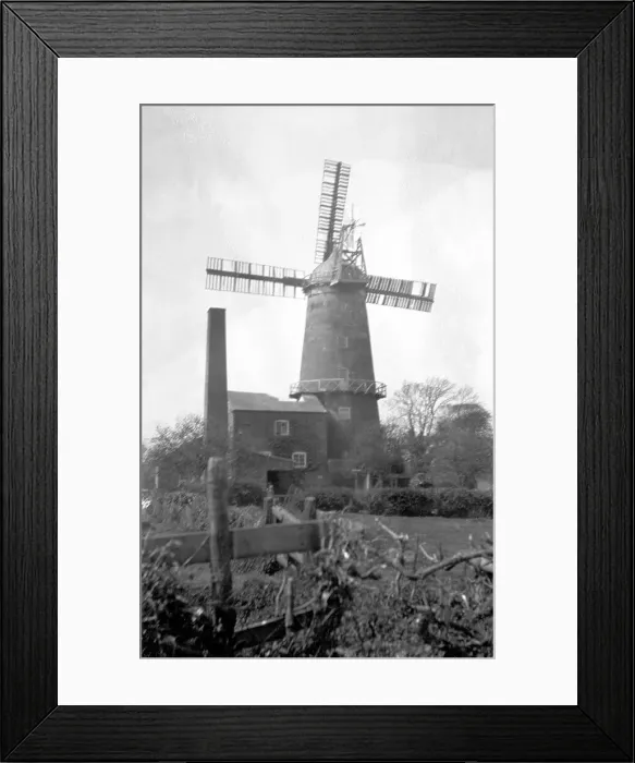 Framed Print : Denver tower mill, Norfolk Framed Print : Denver tower mill, Norfolk