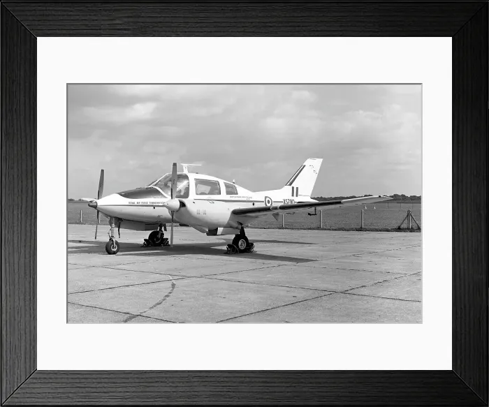Framed Print : Beagle Basset CC.1 XS780 Framed Print : Beagle Basset CC.1 XS780