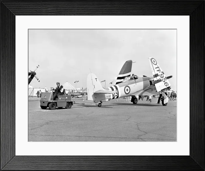 Framed Print : Hawker Sea Fury FB.11 TF956 Framed Print : Hawker Sea Fury FB.11 TF956