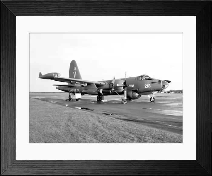 Framed Print : Lockheed SP-2H Neptune 213 Framed Print : Lockheed SP-2H Neptune 213