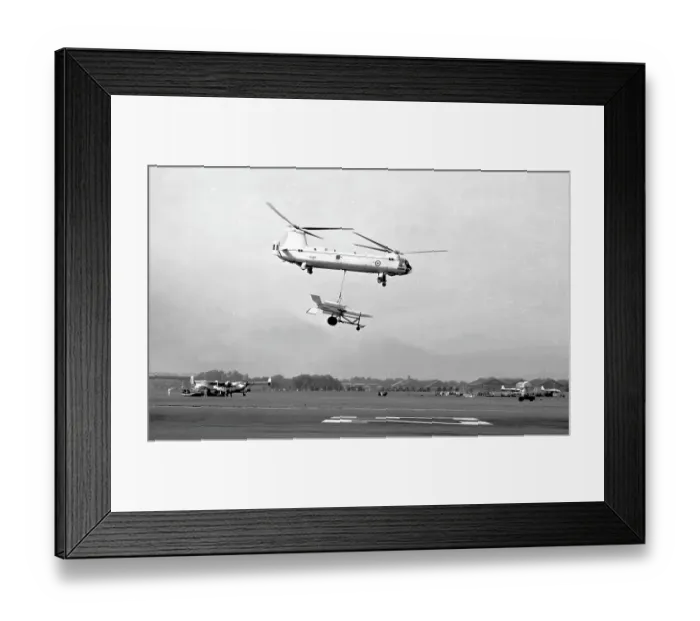 Framed Print : Bristol Belvedere HC.1 XG451 Framed Print : Bristol Belvedere HC.1 XG451