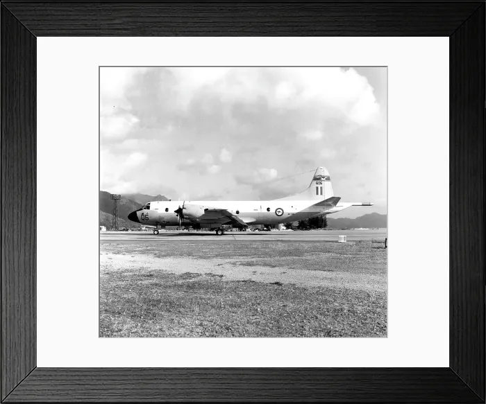 Framed Print : Lockheed P-3B Orion A9-605 Framed Print : Lockheed P-3B Orion A9-605