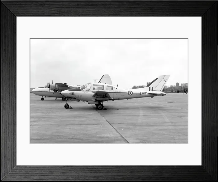 Framed Print : Beagle Basset CC.1 XS765 Framed Print : Beagle Basset CC.1 XS765