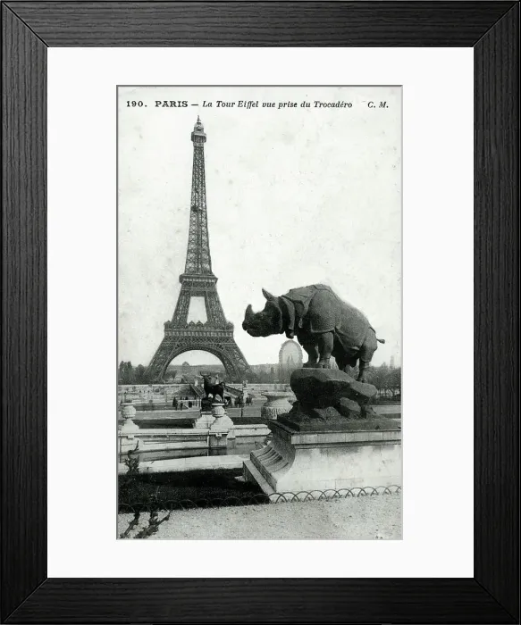 Framed Print : (insert description) Framed Print : (insert description)