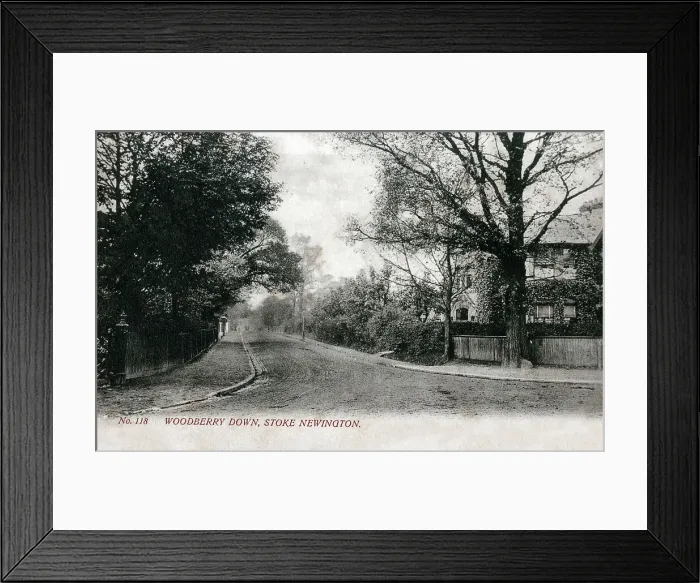 Framed Print : (insert description) Framed Print : (insert description)