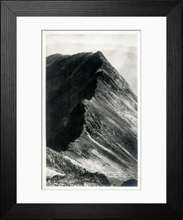 Framed Print : (insert description) Framed Print : (insert description)