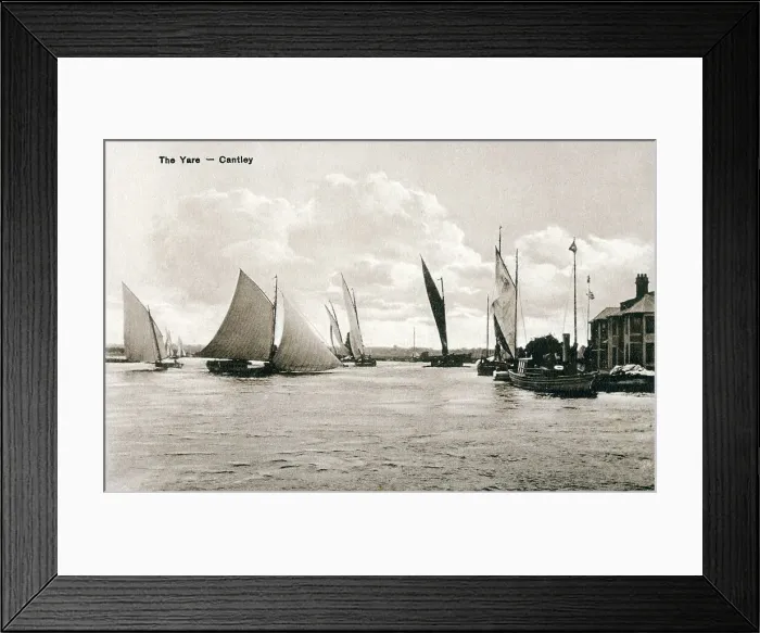 Framed Print : (insert description) Framed Print : (insert description)