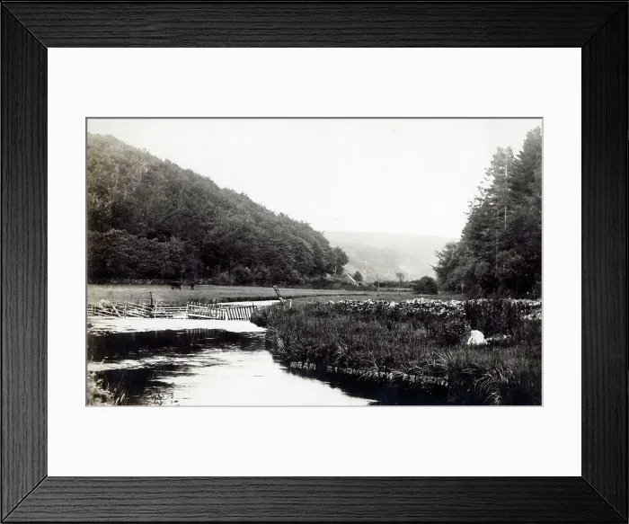 Framed Print : (insert description) Framed Print : (insert description)