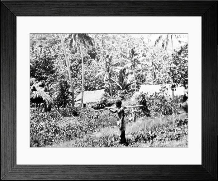 Framed Print : Fijian village in the Bush, Fiji, Victorian period Framed Print : Fijian village in the Bush, Fiji, Victorian period