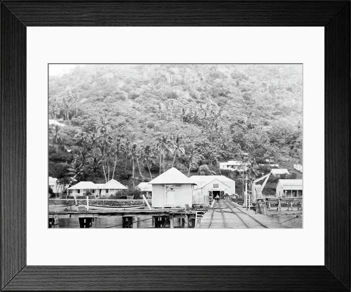 Framed Print : Levuka Port, Fiji, Victorian period Framed Print : Levuka Port, Fiji, Victorian period