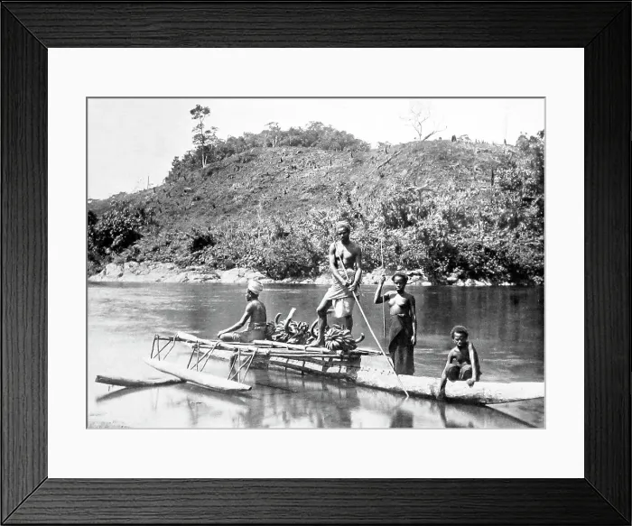 Framed Print : Taking bananas to market, Fiji, Victorian period Framed Print : Taking bananas to market, Fiji, Victorian period