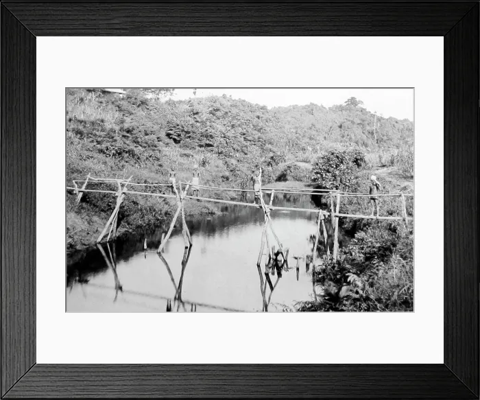 Framed Print : Bridge on the Rewa River, Fiji, Victorian period Framed Print : Bridge on the Rewa River, Fiji, Victorian period