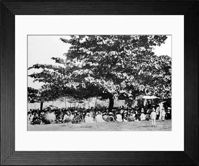 Framed Print : A village gathering, Fiji, Victorian period