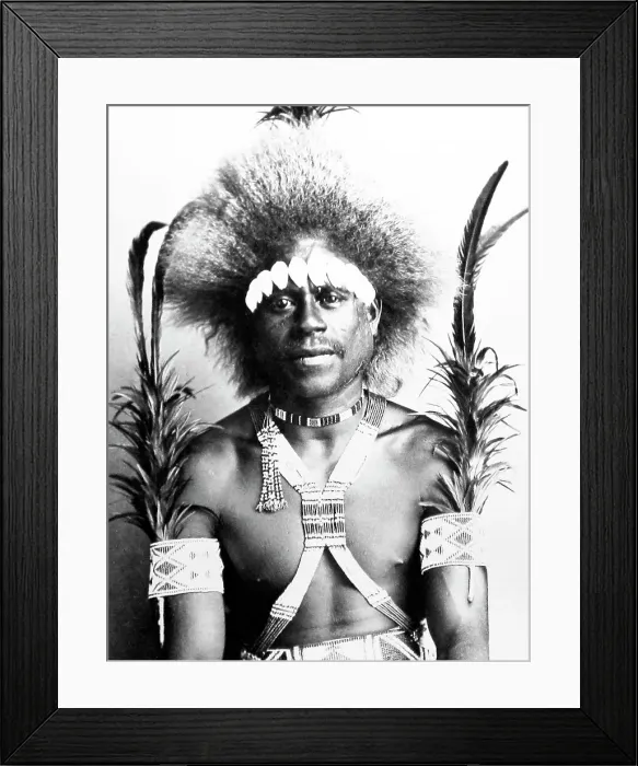 Framed Print : Village Chief wearing dancing costume, Solomon Islands Framed Print : Village Chief wearing dancing costume, Solomon Islands