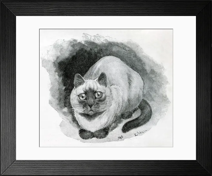 Framed Print : The Cat Show at the Crystal Palace by Louis Wain Framed Print : The Cat Show at the Crystal Palace by Louis Wain