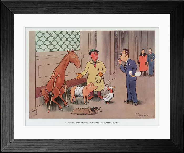 Framed Print : Livestock Underwriter inspecting his current claims Framed Print : Livestock Underwriter inspecting his current claims