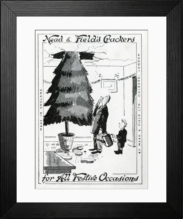 Framed Print : Christmas Tree grown through ceiling Framed Print : Christmas Tree grown through ceiling