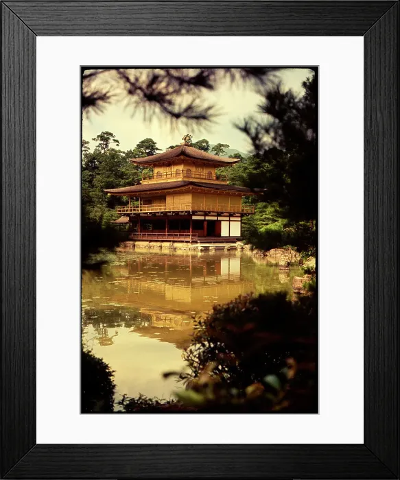 Framed Print : Golden Pavillion Kyoto, Japan Framed Print : Golden Pavillion Kyoto, Japan