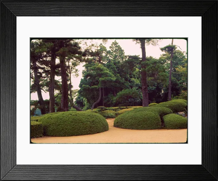 Framed Print : Jiko-In Nara, Japan Framed Print : Jiko-In Nara, Japan
