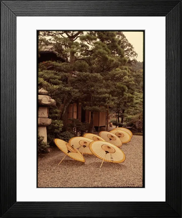 Framed Print : Kyoto, sunshades, Japan, sandra Framed Print : Kyoto, sunshades, Japan, sandra