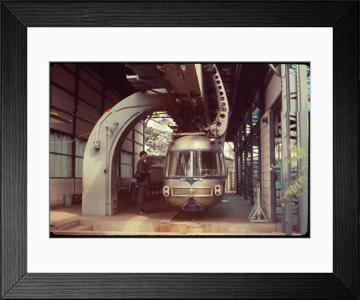 Framed Print : Monorail Tokyo Zoo, Japan Framed Print : Monorail Tokyo Zoo, Japan