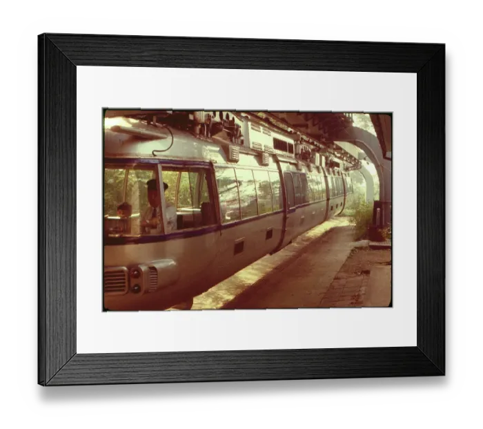 Framed Print : Monorail Tokyo Zoo, Japan Framed Print : Monorail Tokyo Zoo, Japan