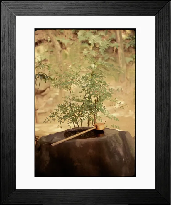 Framed Print : Shishen-Do Kyoto, Japan Framed Print : Shishen-Do Kyoto, Japan