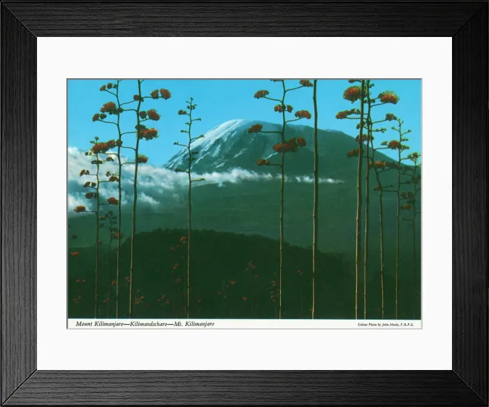 Framed Print : Africa - Mount Kilimanjaro, Tanzania Framed Print : Africa - Mount Kilimanjaro, Tanzania