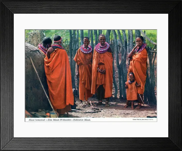 Framed Print : Africa - Masai village and Homestead Framed Print : Africa - Masai village and Homestead