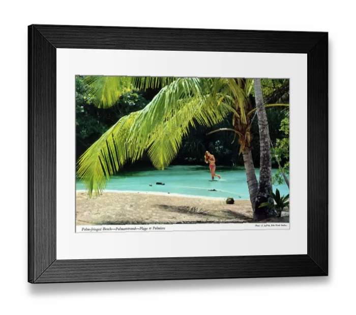 Framed Print : Africa - European Bather on a Palm-fringed African beach Framed Print : Africa - European Bather on a Palm-fringed African beach