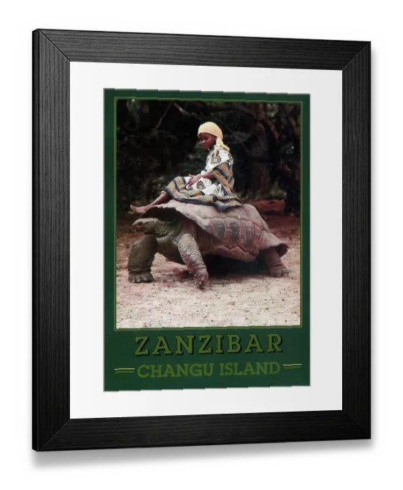 Framed Print : Africa - Zanzibar - Changu Island - Riding a Giant Tortoise Framed Print : Africa - Zanzibar - Changu Island - Riding a Giant Tortoise