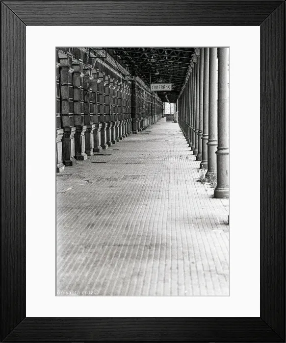 Framed Print : Canfranc International Railway Station, Spanish Pyrenees Framed Print : Canfranc International Railway Station, Spanish Pyrenees