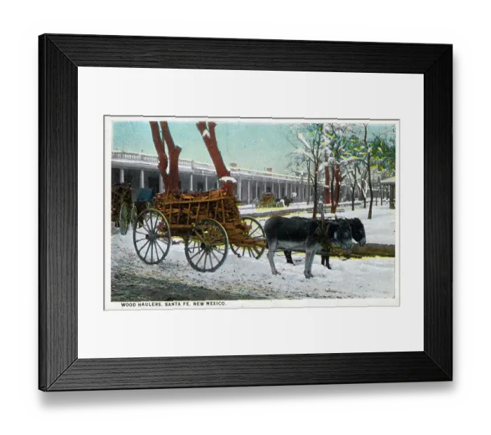 Framed Print : (Burros) Donkey Cart hauling wood, Santa Fe, New Mexico, USA Framed Print : (Burros) Donkey Cart hauling wood, Santa Fe, New Mexico, USA