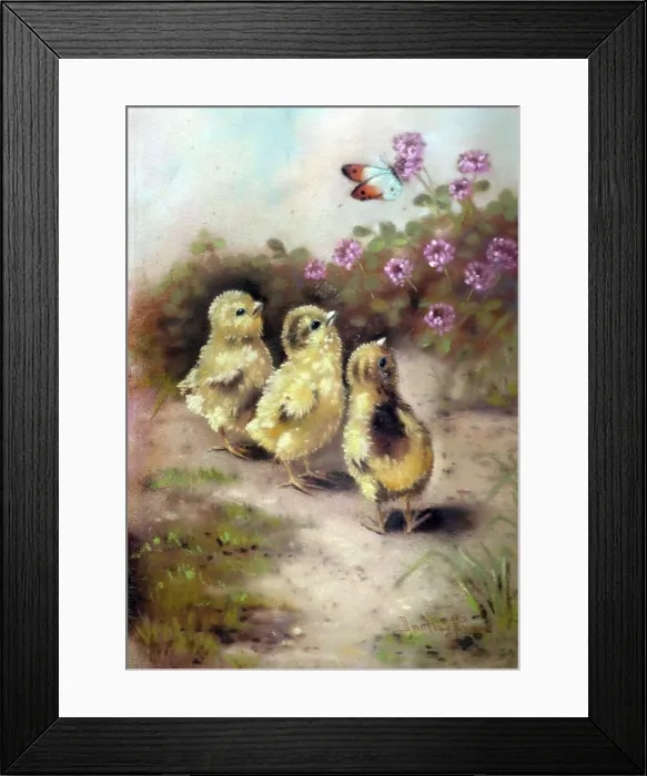 Framed Print : Easter chicks with butterfly Framed Print : Easter chicks with butterfly