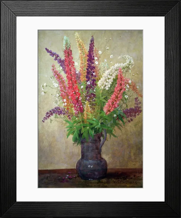 Framed Print : Lupins. Flower arrangement - Lupins Date: 1930s Framed Print : Lupins. Flower arrangement - Lupins Date: 1930s