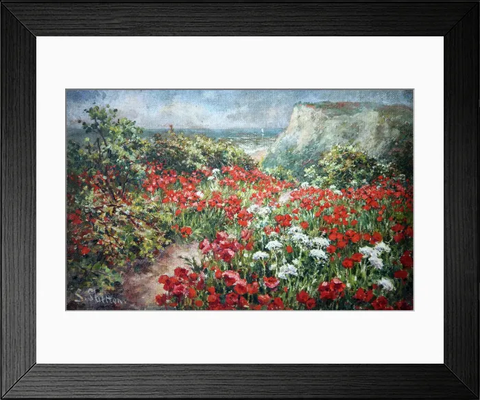 Framed Print : Poppyfield by the cliffs Framed Print : Poppyfield by the cliffs