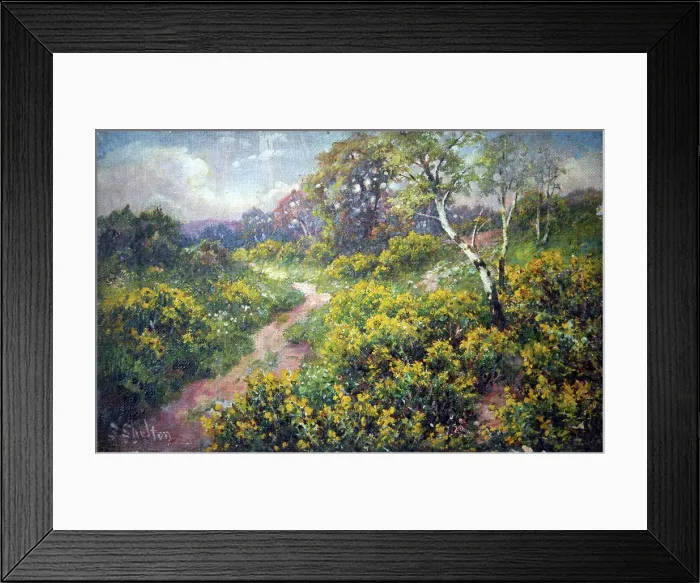 Framed Print : Woodland path with gorse Framed Print : Woodland path with gorse