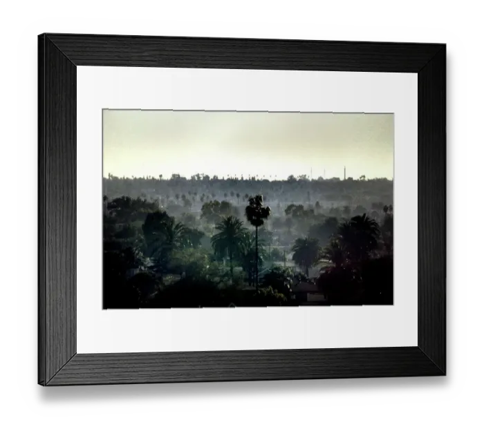 Framed Print : Misty urban landscape, Los Angeles, USA Framed Print : Misty urban landscape, Los Angeles, USA