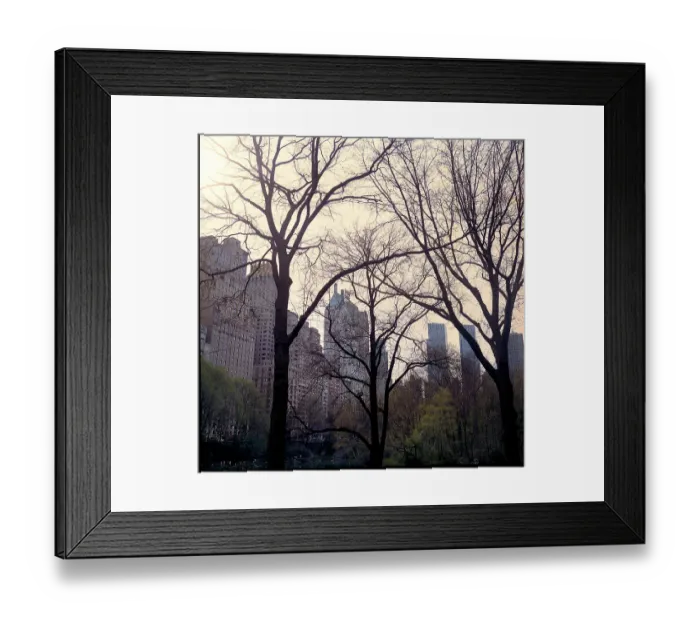 Framed Print : Trees Central Park plus buildings, New York, USA Framed Print : Trees Central Park plus buildings, New York, USA