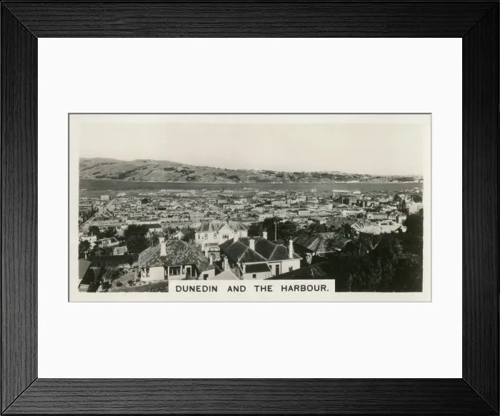Framed Print : New Zealand - Dunedin and the Harbour Framed Print : New Zealand - Dunedin and the Harbour